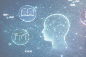 1st International Workshop on Grammatical Gender Acquisition and Processing